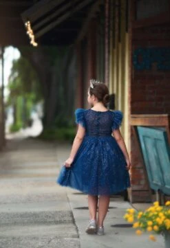 MILLY DRESS SPARKLE NAVY 9 MILLY DRESS SPARKLE NAVY -Fashion Dress-Trish Scully TSC23fb 5 copy