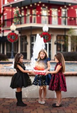 EVANGELINE DRESS NAVY JACQUARD 9 EVANGELINE DRESS NAVY JACQUARD -Fashion Dress-Trish Scully TSC3fb 292fc629 1b15 48ea 84b8 4338d035b8ae