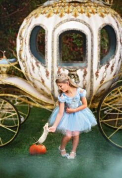 PRINCESS EMILIE TIARA -Fashion Dress-Trish Scully TSC40fb 1