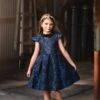 EVANGELINE DRESS NAVY JACQUARD