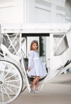 SILVER REGAL PRINCESS SHOE 14 SILVER REGAL PRINCESS SHOE -Fashion Dress-Trish Scully TSC52fb f49f9ef8 b1fb 40a6 8717 c97a5429f2c7