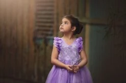 BIANCA DRESS LAVENDER -Fashion Dress-Trish Scully TSC65fb