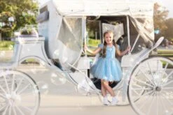 FLASH SALE QUEEN OF THE KINGDOM MINI DRESS 12 FLASH SALE QUEEN OF THE KINGDOM MINI DRESS -Fashion Dress-Trish Scully TSC8 1fb d3668c4f e09e 4cad a1af f04a4c9a4810