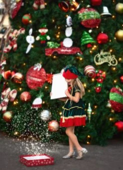 JANIE THE ELF DRESS & HAT SET -Fashion Dress-Trish Scully TSC9fb 1 3b1c27ce 30bf 4f2d 8411 9a554885bc3c