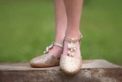 PRINCESS SHOE GOLD 9 PRINCESS SHOE GOLD -Fashion Dress-Trish Scully TSC9fb 2 copy2 2821ba75 b84a 4055 b2ec eb1f11d965b3