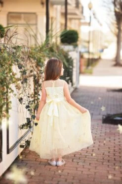 ANTOINETTE GOWN SUNSHINE -Fashion Dress-Trish Scully antoinsun3