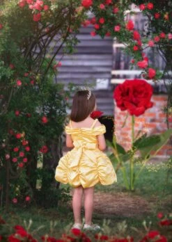 PRINCESS CHARLOTTE MINI DRESS & GLOVES SET 7 PRINCESS CHARLOTTE MINI DRESS & GLOVES SET -Fashion Dress-Trish Scully charlottemini3