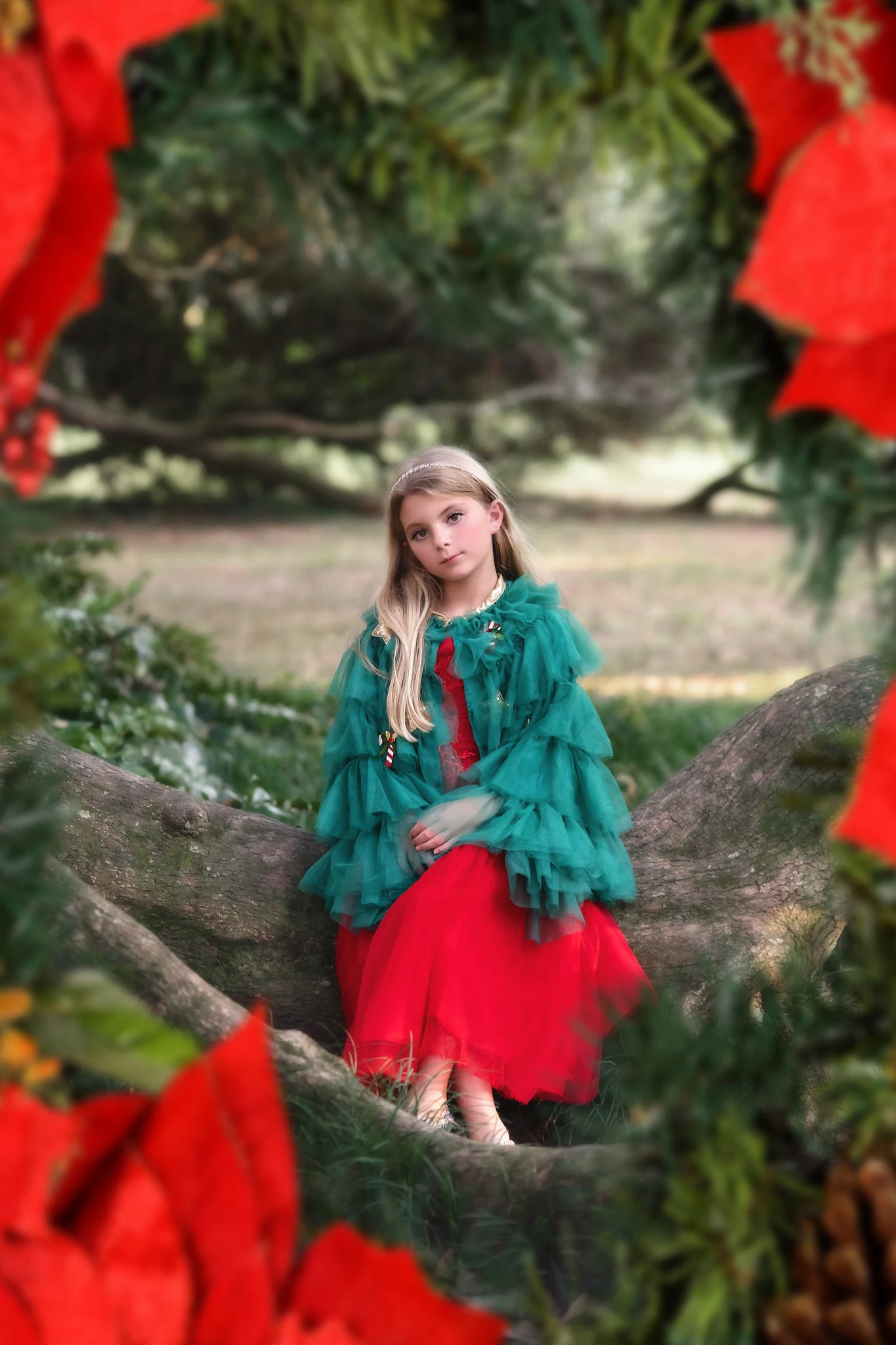 THE CHRISTMAS CAPE 4 THE CHRISTMAS CAPE - Image 2