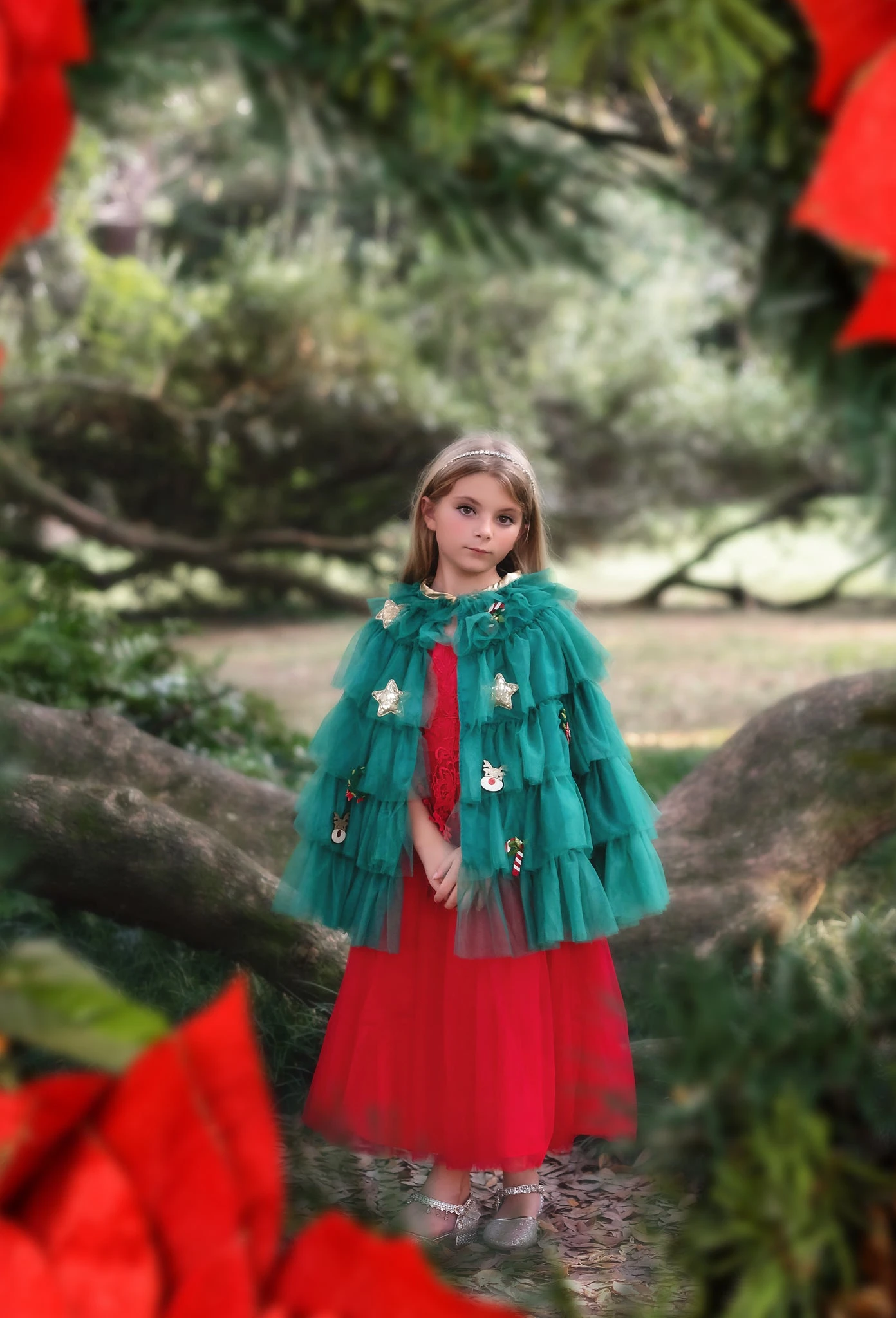 THE CHRISTMAS CAPE 3 THE CHRISTMAS CAPE