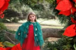 THE CHRISTMAS CAPE 10 THE CHRISTMAS CAPE -Fashion Dress-Trish Scully christmascape4