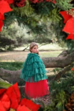 THE CHRISTMAS CAPE 11 THE CHRISTMAS CAPE -Fashion Dress-Trish Scully christmascape5