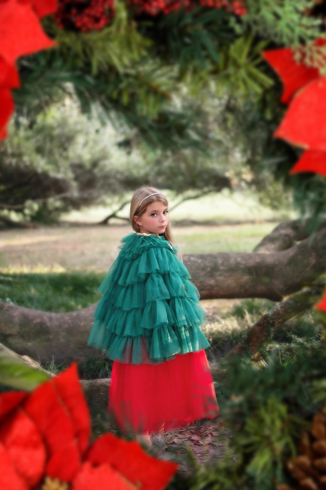 THE CHRISTMAS CAPE 7 THE CHRISTMAS CAPE - Image 5