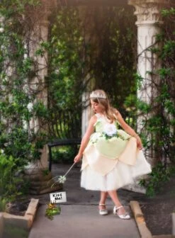 PRINCESS THALIA DRESS & BELT SET 8 PRINCESS THALIA DRESS & BELT SET -Fashion Dress-Trish Scully frogprincess3