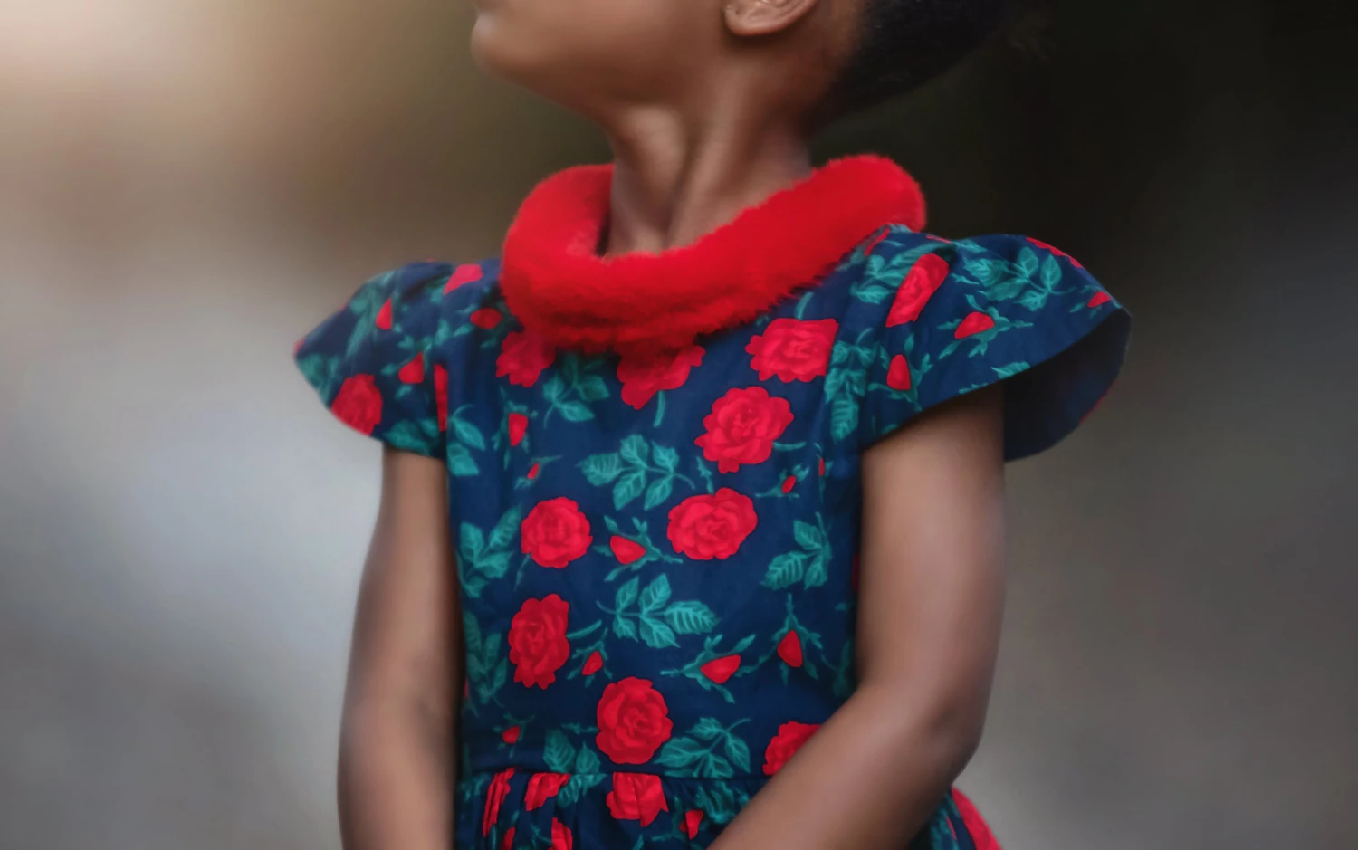 EVANGELINE DRESS NAVY ROSE FLORAL 7 EVANGELINE DRESS NAVY ROSE FLORAL - Image 5