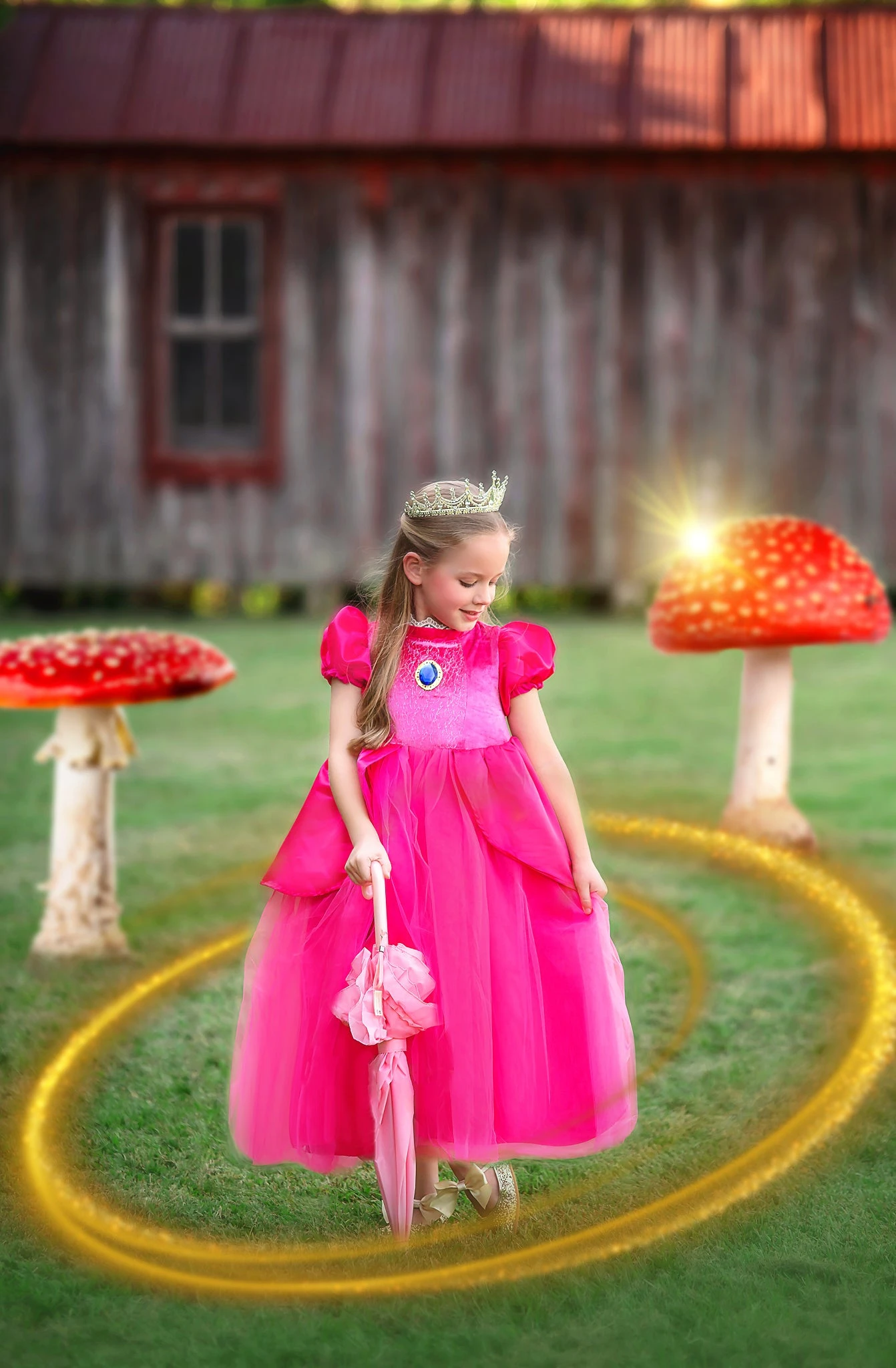 PRINCESS VICTORIA 3 PRINCESS VICTORIA