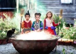 THE SPOTLIGHT SISTER -Fashion Dress-Trish Scully witchgroup3